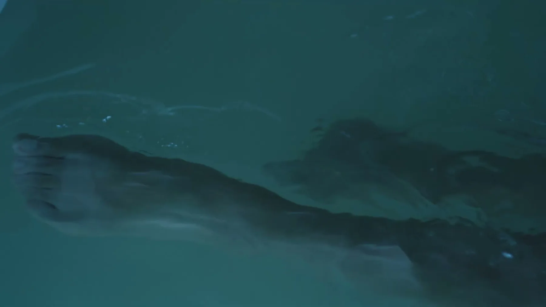 A person floats on their back in blue water.