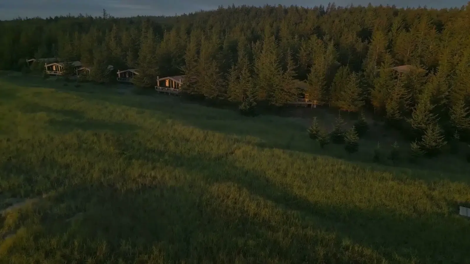 Haida House cabins sit in a meadow beside dense coastal forest.